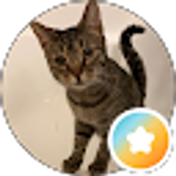 Profile photo of jennifer danver