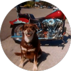 Profile photo of Ron Cuneo