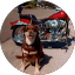 Profile photo of Ron Cuneo