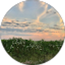 Profile photo of Kate Cavanaugh