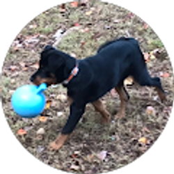 Profile photo of Patty Breeden