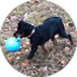Profile photo of Patty Breeden