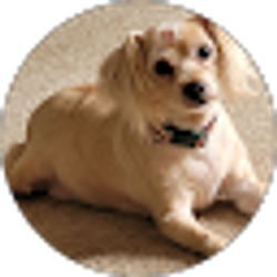 Profile photo of Linda Avra