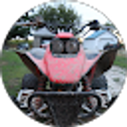 Profile photo of steve brashears
