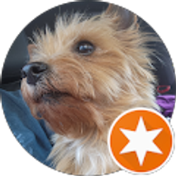 Profile photo of E M