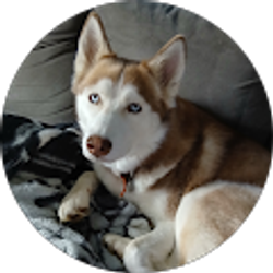 Profile photo of Barb Bridenstine