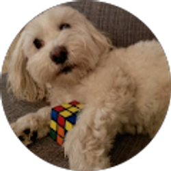 Profile photo of Larry Stern