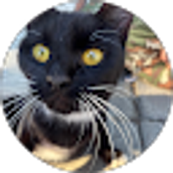 Profile photo of Alex B