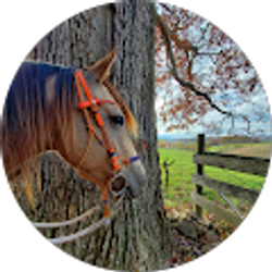 Profile photo of Roseanne Moreland