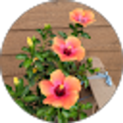 Profile photo of Wendy I Bushby