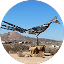 Profile photo of Stephen Rhodes