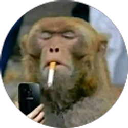 Profile photo of Jose Menjivar