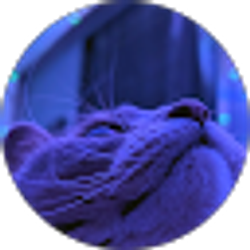 Profile photo of Daniel