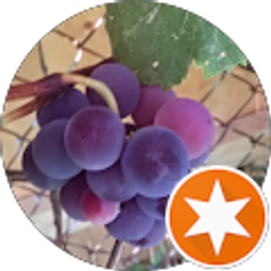 Profile photo of Brian Mason