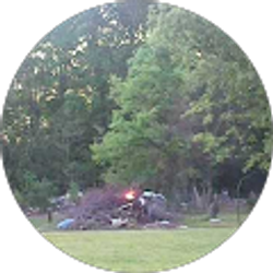 Profile photo of David Falkner