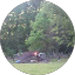 Profile photo of David Falkner