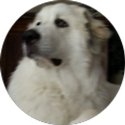 Profile photo of Dora Croft