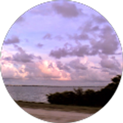 Profile photo of MPF JAX