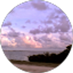 Profile photo of MPF JAX