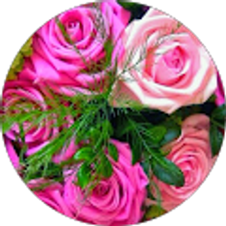 Profile photo of Azucena Bazan