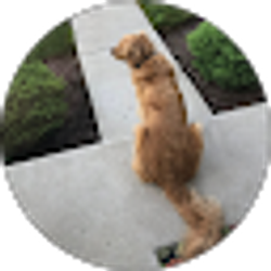 Profile photo of Eric Vowcheck