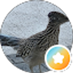 Profile photo of Lyn Wyke