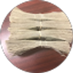 Profile photo of BCB Phil
