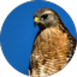 Profile photo of Jonathan Anderson