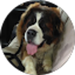 Profile photo of Marcia Tappenbeck