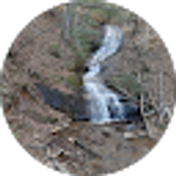 Profile photo of Loretta Newton