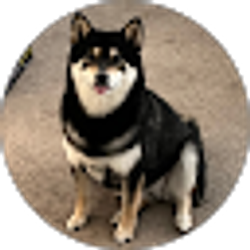 Profile photo of socalgsxr750 Medina