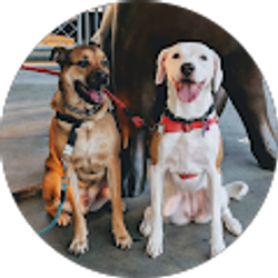 Profile photo of Kassie A.