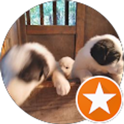 Profile photo of Katy