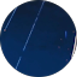 Profile photo of Jay Chase