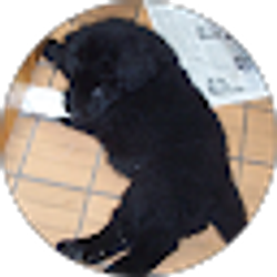 Profile photo of Hattie Carter