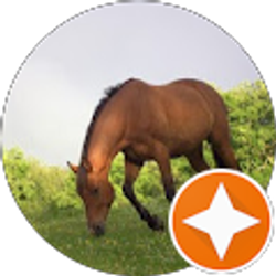 Profile photo of Amy Hartmann