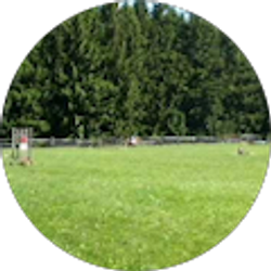 Profile photo of Stephanie