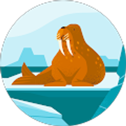 Profile photo of Dumpy Dom