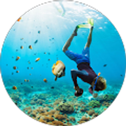 Profile photo of JACO SNORKEL