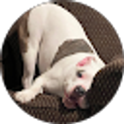 Profile photo of James Furr
