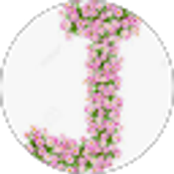 Profile photo of Jacqueline Avila