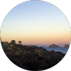 Profile photo of A Kovalsky