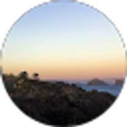 Profile photo of A Kovalsky