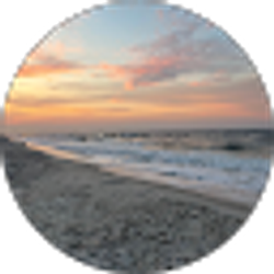 Profile photo of Ashton Wildermuth