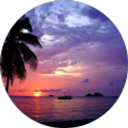 Profile photo of Valentino Ivy