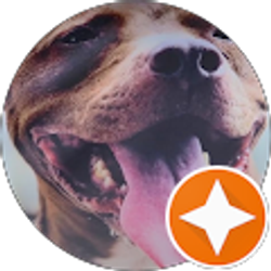 Profile photo of Lynn Hurley