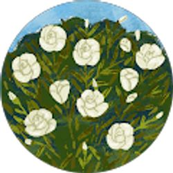 Profile photo of Rebecca Carder