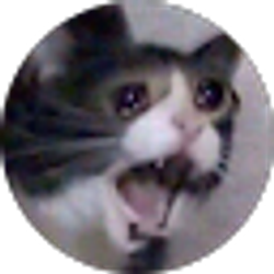 Profile photo of cat_yells