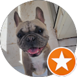 Profile photo of Cari