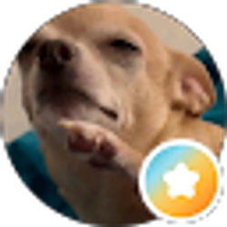 Profile photo of Hopeful Butterfly